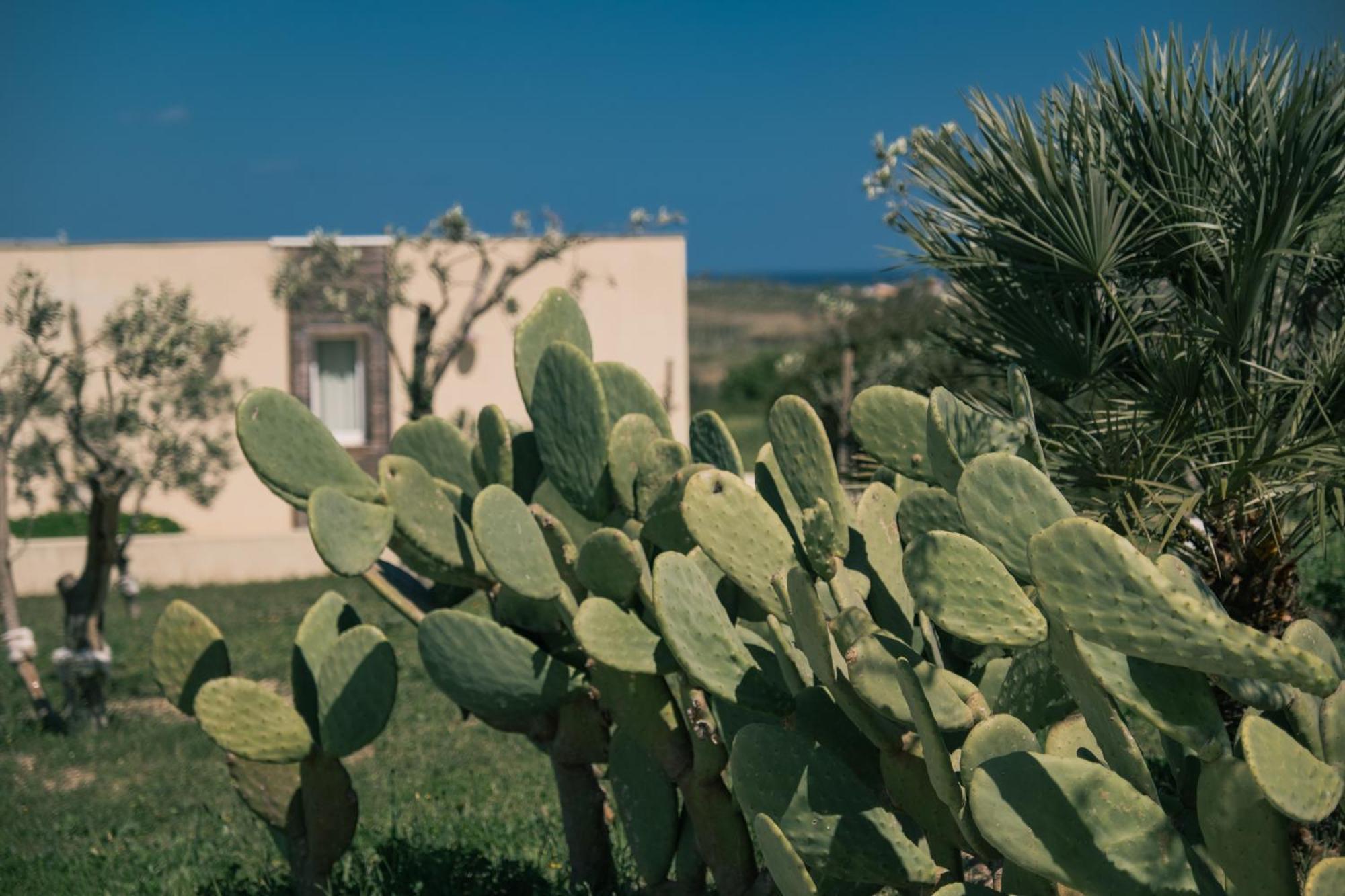 New Exclusive Lodges, Marzamemi, Noto Pachino Bagian luar foto